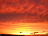 DSCF1485