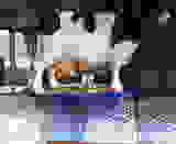bd904ac2.jpg