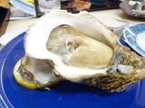 2009-08-28 013