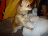 20090615 056