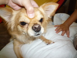 20090615 060