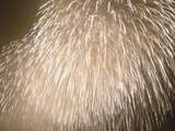 2009-08 031