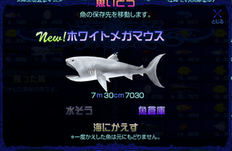 �������ۥ磻�ȥᥬ�ޥ����ʤޤ椵���