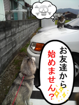 お友達になってぇ~♪♪