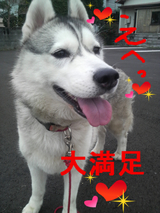 満足だゎぁ~
