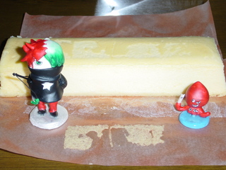 2009050022 025