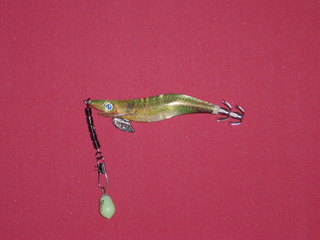 2009050022 022