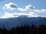 59184d49.jpg