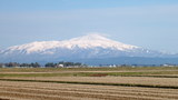 7b419978.JPG