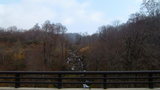 d20336b7.JPG