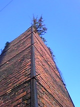a0b1779e.jpg