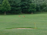 Hunter Mill Golf Park1