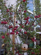 2175cf40.JPG