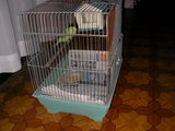 6d8445e4.JPG