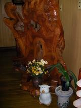 835f37e2.JPG