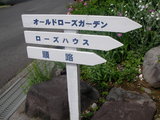 ae767851.JPG
