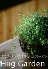 d80c9f1b.gif