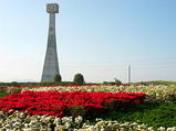 e7d46477.jpg