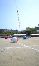 8f426e7d.jpg
