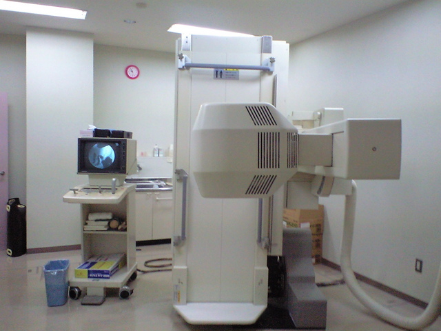 cf41970e.JPG