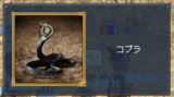 コブラ
