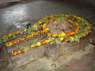 DSC02501