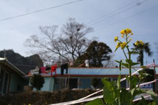 IMG_2819
