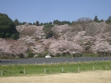 IMGP3220