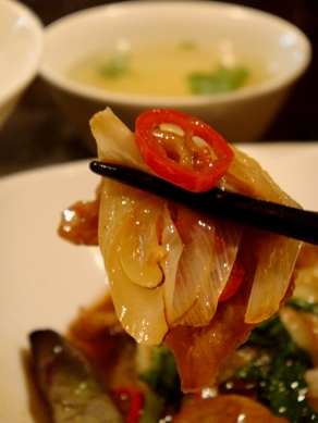 roshisen20090708-007.JPG