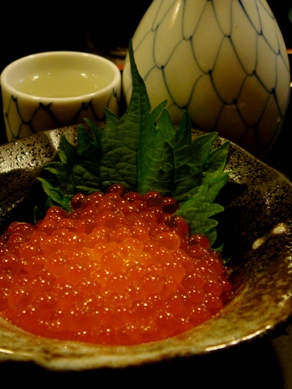 kitayama20091104-008.JPG