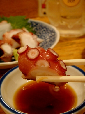 yozo20091120-004.JPG