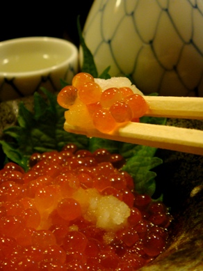 kitayama20091104-009.JPG