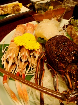 housensou20080424-015.JPG