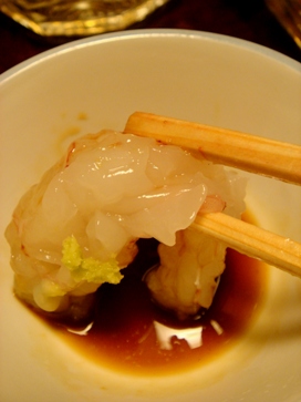 housensou20080424-008.JPG