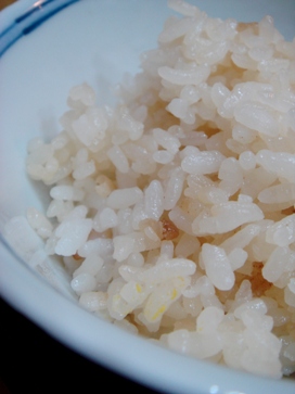 ogura20080411-005.JPG