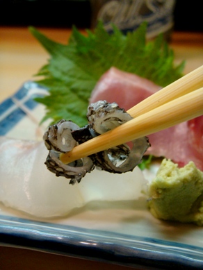 sawara20091102-004.JPG