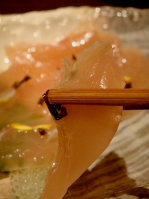 yoshinari20091022-005.JPG