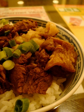shinki20080418-003.JPG