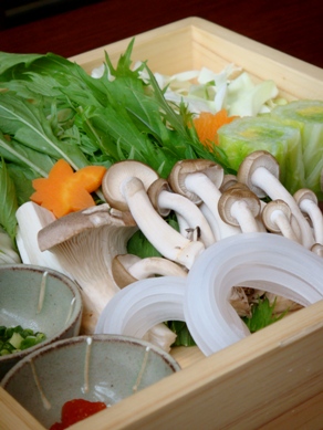 wakadori20081008-003.JPG