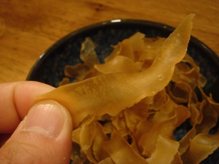 torihara20070116-008.JPG