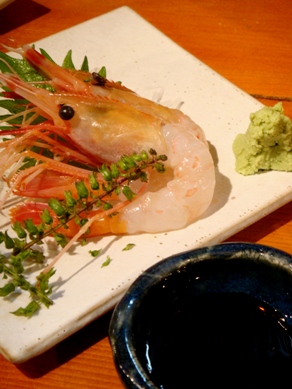 tobusakana20081126-004.JPG