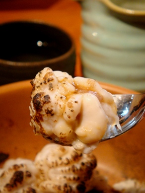 tobusakana20081126-007.JPG