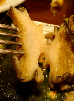 housensou20080424-011.JPG