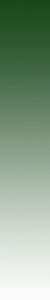 y-green