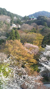 2009040617020000