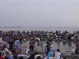 海岸