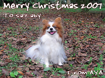 Merry Christmas 2007