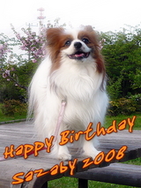 Happy Birthday SAZABY¡¡2008