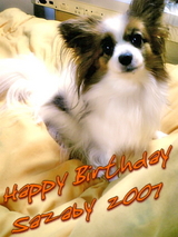 Happy Birthday SAZABY¡¡2007