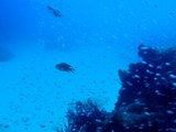 11/15雲見3
